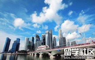 解析自費出國留學中介資質(zhì) 如何辨別正規(guī)與專業(yè)服務機構(gòu)